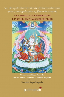 Una pioggia di benedizioni e l'eccellente vaso di nettare - Mipam Rinpoche
